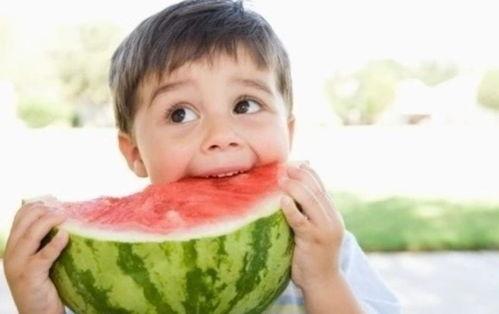 娱乐吃瓜君二豆